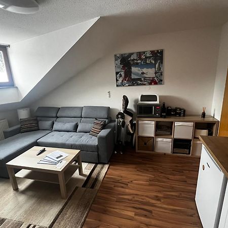 Family Apartment Sumava Байериш-Айзенштайн Экстерьер фото