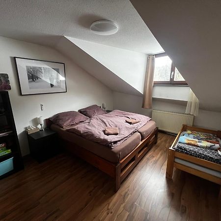 Family Apartment Sumava Байериш-Айзенштайн Экстерьер фото